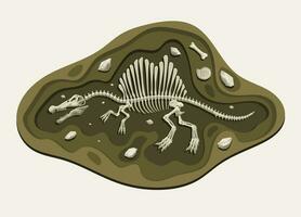 Spinosaurus Dinosaurier Archäologie Fossil Karikatur entdecken im das Boden vektor
