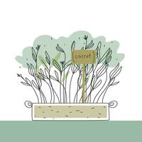 Karotte Microgreens Box Gekritzel Vektor Illustration