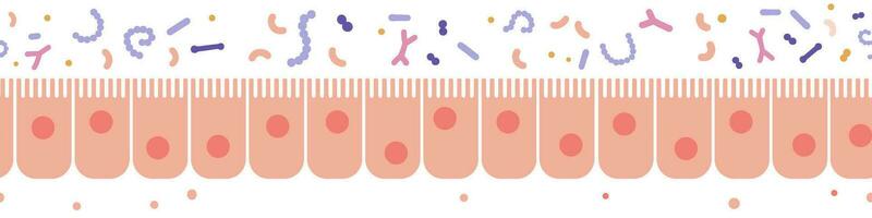 frisk epitel cell sömlös gräns, vetenskap och medicinsk biologi. mikrobiologi strukturera. mänsklig Bra tarmar mikrobiom. platt vektor illustration.