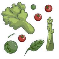 Vektor Bild von ein Gemüse einstellen und Grüns zum Menschen Streben zum ein gesund Lebensstil. eps 10