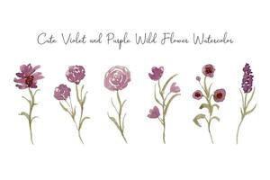 elegant wild Blume Aquarell Sammlung vektor
