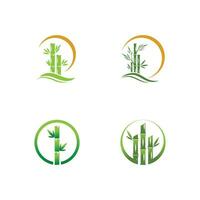 bambus mit grüner blattlogo-illustrationsvektorschablone vektor