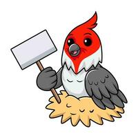 söt röd naken kardinal fågel tecknad serie innehav tom tecken vektor