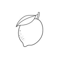 Hand gezeichnet Kinder Zeichnung Karikatur Vektor Illustration Zitrone Obst Symbol isoliert auf Weiß Hintergrund