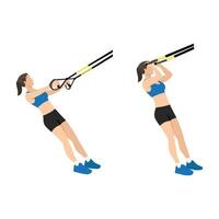 kvinna håller på med trx suspension rem bicep lockar träning. platt vektor illustration isolerat på vit bakgrund