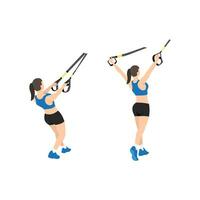 kvinna håller på med trx suspension remmar deltamuskeln flugor träning. platt vektor illustration isolerat på vit bakgrund