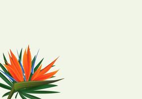 naturligt realistiskt grönt palmblad med strelitzia blomma tropisk bakgrund. vektor illustration eps10