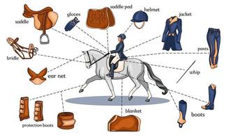 Pferdesport Infografiken Pferdegeschirr und Reiterausrüstung in der Mitte eines Reiters auf einem Pferd im Cartoon-Stil vektor