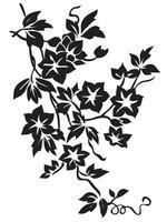 Blumen- Reben schwarz und Weiß Muster vektor