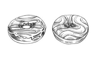 en ritad för hand skiss av en uppsättning av munkar. årgång illustration. bakverk sötsaker, efterrätt. element för de design av etiketter, förpackning och vykort. vektor