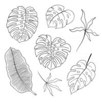 Sammlung von Sommerpflanzen Strichzeichnungen vektor