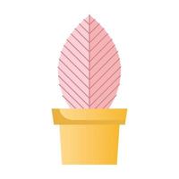 rosa Zimmerpflanze im gelben Keramiktopf vektor