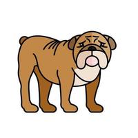 bulldog husdjur maskot ras karaktär vektor