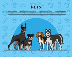 Vier Hunde Haustiere Maskottchen züchten Charaktere und Schriftzüge vektor