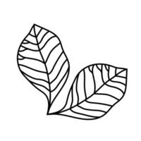 zwei Blätter Linienstil Symbol Vektor-Design vector