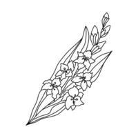 hand dragen enkel klotter blommig illustration av gladiolus. augusti födelse månad blomma. dag av de död- symboler ClipArt. isolerat på vit bakgrund. vektor