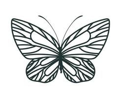 schöne Schmetterlingsillustration vektor