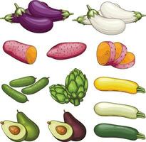 färsk grönsaker illustration, grönsaker blanda vektor