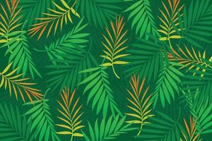 tropiska blad palm bakgrund vektor