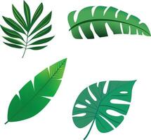 anders Typen von tropisch Blätter Vektor Illustration, realistisch tropisch Blatt Sammlung Lager Vektor Bild