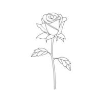 einer Linie Kunst Rose Blume Vektor Gliederung Illustration