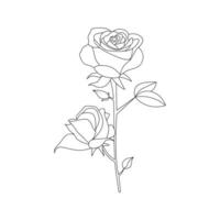 einer Linie Kunst Rose Blume Vektor Gliederung Illustration