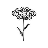 Wildblume Symbol Vektor. wild Blume Illustration unterzeichnen. Blume Symbol. Garten Logo. vektor