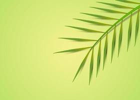 tropische Blätter minimaler Hintergrund vektor