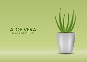 realistische abbildung des aloe vera-vektorkonzepthintergrundes vektor