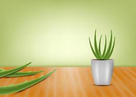 realistische abbildung des aloe vera-vektorkonzepthintergrundes vektor