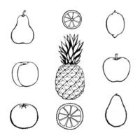 Vektor handgezeichnete Frucht-Icon-Set. dekorative Retro-Stil-Sammlung landwirtschaftliche Produkte Restaurant-Menü, Marktetikett.