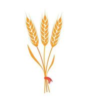Großes Bündel Weizen-, Gerste- oder Roggenohren mit Vollkorn und trockenen Blättern, goldene Weizen-, Roggen- oder Gerstenernte mit rotem Banderntesymbol oder Symbolzeichen flache Designvektorillustration isoliert