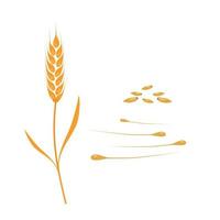 Weizen- oder Roggenohr, mit Samen, Vollkorn und Blättern, gelber Weizen, flacher Stil, Symbol, Zeichenvektorillustration, isoliert auf weißem Hintergrund