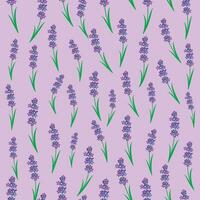 botanisch nahtlos drucken mit verschiedene Blumen- Elemente. Blau Felder von Lavendel und Kamille. Muster mit Miniatur Blumen, Jahrgang Textil- vektor
