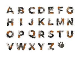 flauschige Latein Alphabet. Vektor Briefe isoliert auf Weiß Hintergrund. ABC.