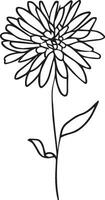 September Geburt Blume Aster Zeichnung, ein minimalistisch tätowieren mit Aster Blumen, Jungfrau September Blume tätowieren Zeichnung September Blume vektor