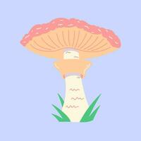 vektor hand dragen svamp illustration