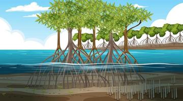 Mangrovenwaldlandschaftsszene tagsüber vektor