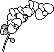 skizzieren von Orchidee Blume vektor