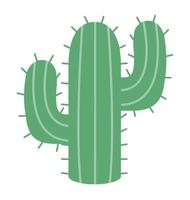 grüne Kaktus-Darstellung vektor