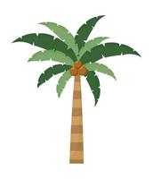 palmträd isolerad vektor
