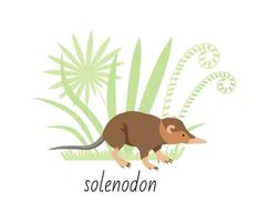 Tier solenodon isoliert auf Weiß Hintergrund. tropisch Pflanzen. Vektor eben Illustration