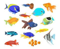 einstellen von frisches Wasser Aquarium Karikatur Fisch. Sorten von dekorativ Beliebt farbig Fisch. Aquarium. Vektor eben Illustration isoliert auf Weiß Hintergrund.