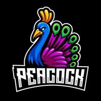 Pfau e Sport Maskottchen Logo Design vektor