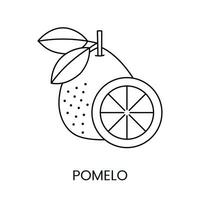 pomelo citrus- frukt, linje ikon i vektor till ange på mat förpackning handla om de närvaro av detta allergen.