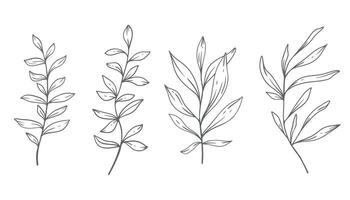 grönska linje konst, bra linje löv hand dragen illustration. botanisk färg sida. översikt löv isolerat på vit vektor