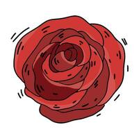 rot Blume auf ein Weiß Hintergrund - - ein Gekritzel Stil Rose vektor