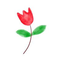 süß rot Blume Aquarell isoliert auf Weiß Hintergrund Vektor Illustration.