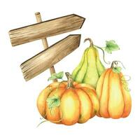 hölzern Schild. Holz Tafel mit Orange und Grün Kürbisse und Blätter. Herbst Zeiger. Aquarell Illustration. isoliert. zum Postkarten, Marketing, Einladungen. vektor