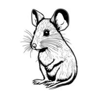 Illustration von ein Ratte, Ratte Vektor Gliederung isoliert auf Weiß Hintergrund